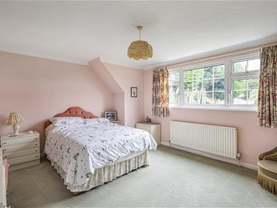 Picture 23